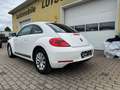 Volkswagen Beetle 1,2 TSI Design Blanco - thumbnail 8