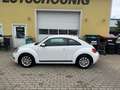 Volkswagen Beetle 1,2 TSI Design Blanco - thumbnail 5