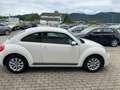 Volkswagen Beetle 1,2 TSI Design Blanco - thumbnail 6