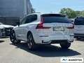 Volvo XC60 Plus Dark Recharge Plug-In Hybrid AWD T6 Weiß - thumbnail 7