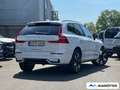 Volvo XC60 Plus Dark Recharge Plug-In Hybrid AWD T6 Weiß - thumbnail 5