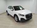 Audi Q2 30 TDI S tronic Business Bianco - thumbnail 1