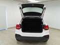 Audi Q2 30 TDI S tronic Business Bianco - thumbnail 8