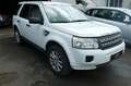 Land Rover Freelander 2 E TD4 Biały - thumbnail 3