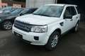 Land Rover Freelander 2 E TD4 Biały - thumbnail 1