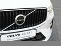 Volvo XC60 B4 2WD Momentum Pro+WP+MP+KEYLESS+FP+ Weiß - thumbnail 9