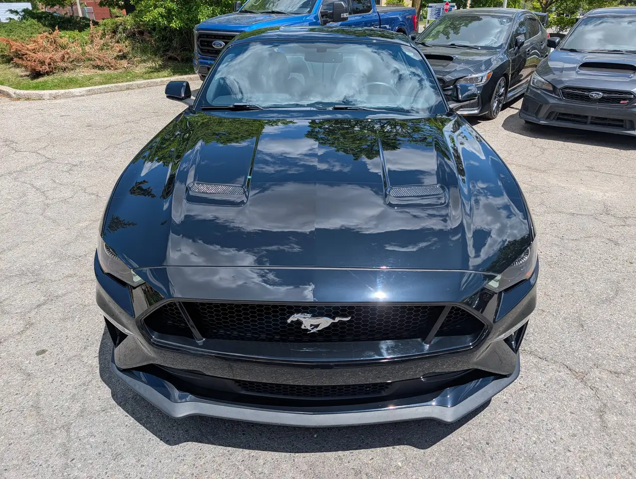 Ford Mustang снимка Ford Mustang