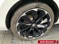 Skoda Superb L&K iV 1.4 TSI Hybrid PDC Rückkamera Navi Weiß - thumbnail 5