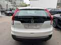 Honda CR-V 1.6 Comfort 2wd Bianco - thumbnail 5