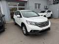 Honda CR-V 1.6 Comfort 2wd Bianco - thumbnail 3