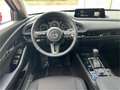 Mazda CX-30 e-Skyactive G140 Exclusive-Line Aut. Automat Rot - thumbnail 6