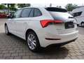 Skoda Scala 1.0 TSI Tour DSG 17'' Reise Licht&Sicht LED Weiß - thumbnail 5