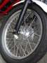 Triumph Thruxton 900 Rood - thumbnail 5
