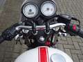 Triumph Thruxton 900 Rood - thumbnail 12