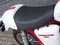 Triumph Thruxton 900 Rood - thumbnail 13