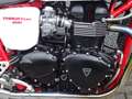 Triumph Thruxton 900 Rood - thumbnail 4