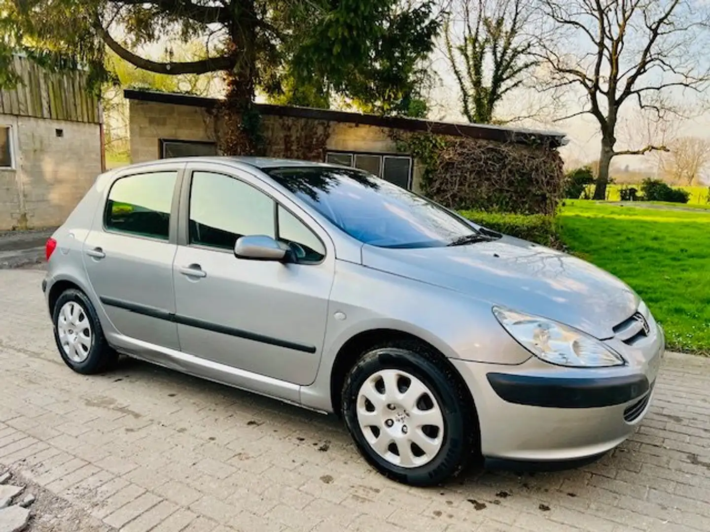 Peugeot 307 1.6i 16v XT AUT Ezüst - 2