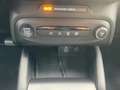 Ford Focus Turnier 1.5 EcoBlue ST-Line X ACC+AHK+LED Schwarz - thumbnail 20