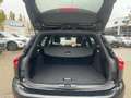 Ford Focus Turnier 1.5 EcoBlue ST-Line X ACC+AHK+LED Schwarz - thumbnail 7