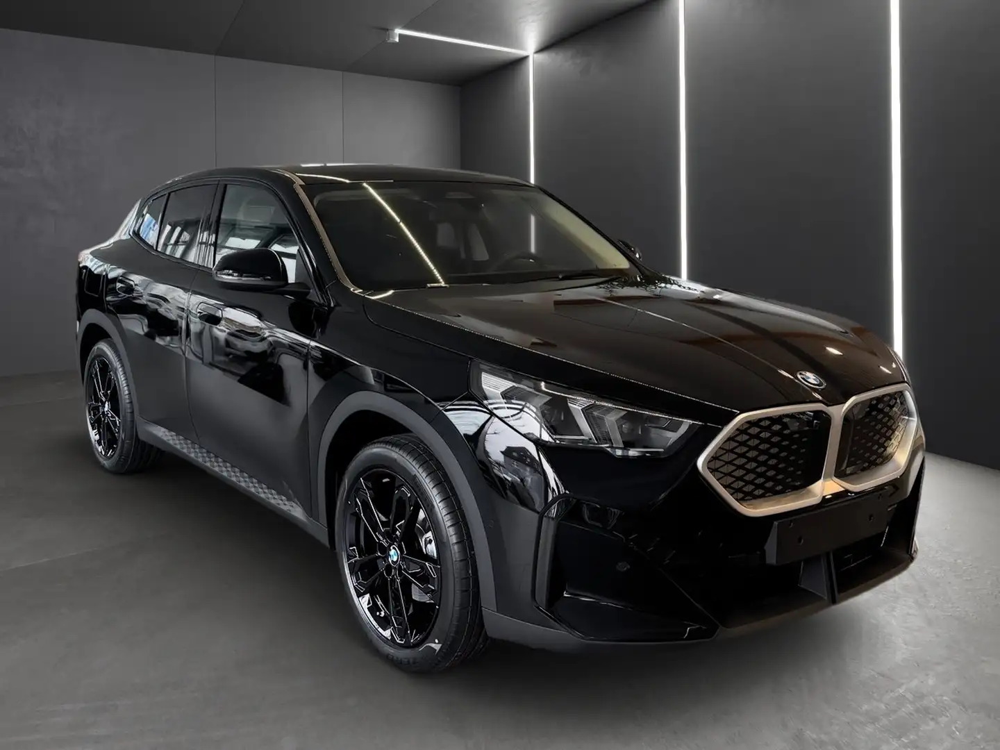 BMW iX2 eDrive20 19" LM+PARKING+DRIVING ASS+AC LADEN RPO Negru - 2