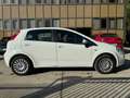 Fiat Punto Evo Punto Evo 5p 1.3 mjt AUTOCARRO - thumbnail 2