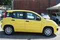 Fiat Panda 1.0 FireFly S&S Hybrid Jaune - thumbnail 4