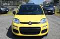 Fiat Panda 1.0 FireFly S&S Hybrid Jaune - thumbnail 2