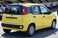 Fiat Panda 1.0 FireFly S&S Hybrid Jaune - thumbnail 5
