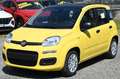 Fiat Panda 1.0 FireFly S&S Hybrid Jaune - thumbnail 21
