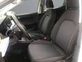 SEAT Ibiza Style1.0 TSI Weiß - thumbnail 9