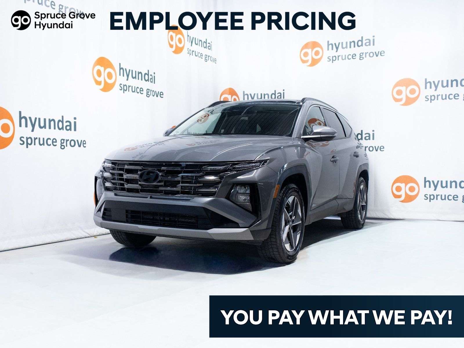 2025 Hyundai Tucson Preferred w/Trend Pkg: Panoramic Moonroof, Wireles