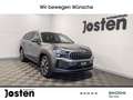Skoda Kodiaq Selection 2.0TDI 4x4 Pano Canton AHK Akustikglas Gris - thumbnail 1