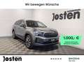 Skoda Kodiaq Selection 2.0TDI 4x4 Pano Canton AHK Akustikglas Grau - thumbnail 1