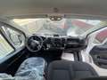 Fiat Ducato Ducato 33 120 Multijet L2H2 (EURO 6d) - thumbnail 11