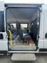 Fiat Ducato Ducato 33 120 Multijet L2H2 (EURO 6d) - thumbnail 6