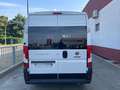 Fiat Ducato Ducato 33 120 Multijet L2H2 (EURO 6d) - thumbnail 3