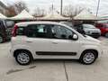 Fiat Panda Panda 1.2 Easy 69cv - thumbnail 5