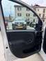 Fiat Panda Panda 1.2 Easy 69cv - thumbnail 10