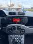 Fiat Panda Panda 1.2 Easy 69cv - thumbnail 15