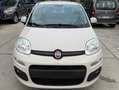 Fiat Panda Panda 1.2 Easy 69cv - thumbnail 2
