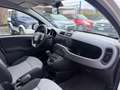 Fiat Panda Panda 1.2 Easy 69cv - thumbnail 6