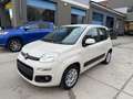 Fiat Panda Panda 1.2 Easy 69cv - thumbnail 1