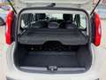 Fiat Panda Panda 1.2 Easy 69cv - thumbnail 9
