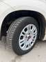 Fiat Panda Panda 1.2 Easy 69cv - thumbnail 14