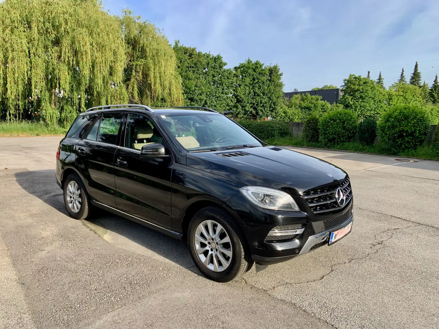 Mercedes-Benz ML 250 ML 250 BlueTEC 4MATIC Aut. DPF Negro - 1