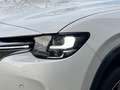 Mazda CX-60 e-SKYACTIV PHEV Exclusive-Line Bose/Matrix/AHK Weiß - thumbnail 6