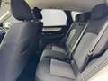 Mazda CX-60 e-SKYACTIV PHEV Exclusive-Line Bose/Matrix/AHK Weiß - thumbnail 12