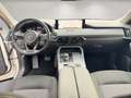 Mazda CX-60 e-SKYACTIV PHEV Exclusive-Line Bose/Matrix/AHK Weiß - thumbnail 11