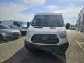 Ford Transit Transit Fahrgestell 2,2 TDCi L2H2 350 *2 Schieb... Weiß - thumbnail 3