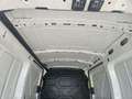 Ford Transit Transit Fahrgestell 2,2 TDCi L2H2 350 *2 Schieb... Weiß - thumbnail 12